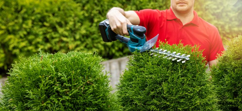 Landscape Pruning Service in Rockwall, TX