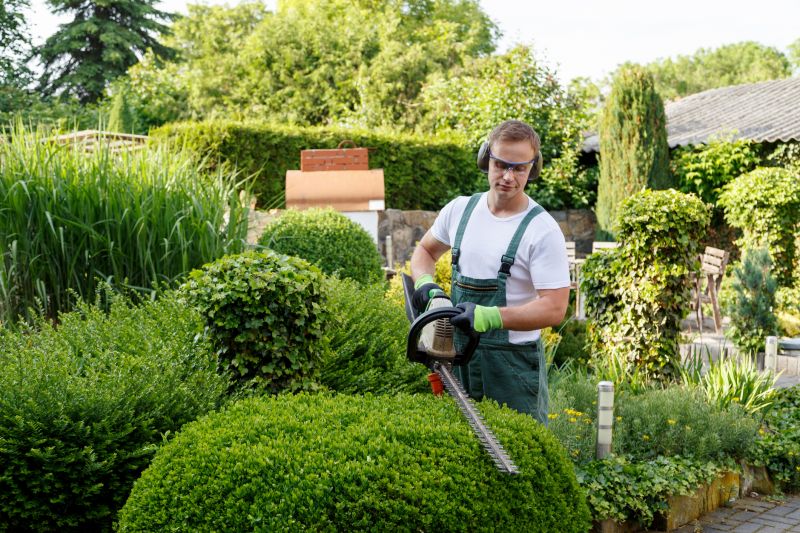 Landscape Trimming Service in Ventura County, CA