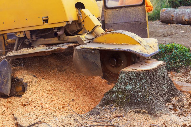 Stump Grinding Service in Waldorf, MD