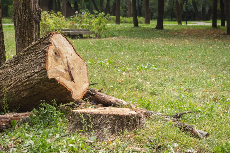 Tree Removal Service in Doylestown, PA