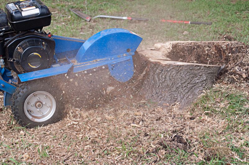 Tree Root Grinding in Calvert County, MD
